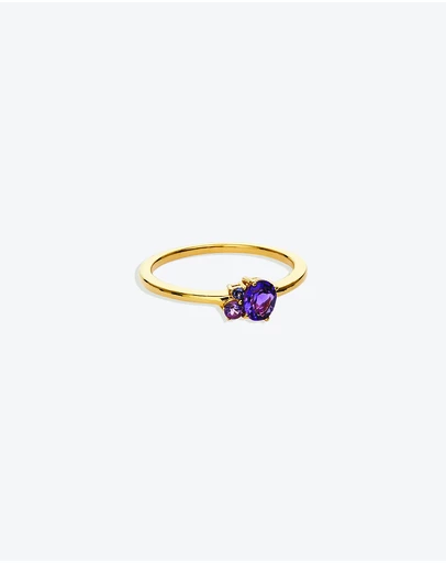 By Charlotte - Gold Kindred February Ring