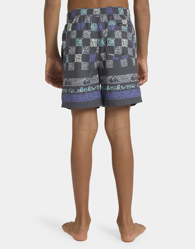 Quiksilver - Boys 8 to 16 Everyday 14