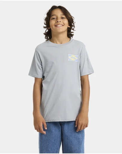 Quiksilver - Boys 8 to 16 Starfish Stamp T-Shirt