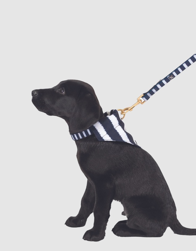 Mog & Bone - Neoprene Lead - Navy Hamptons Stripe Print