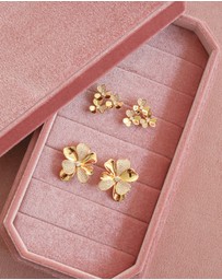 Bianc - Starry Earrings