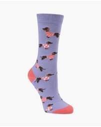 Bamboozld - Women's Bamboo Jersey Dash Dreaming Short & Sock Gift Set