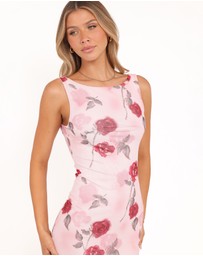 Petal & Pup - Brissa Maxi Dress - Pink Floral