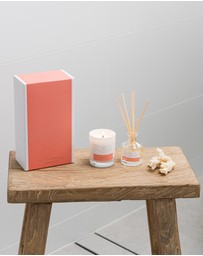 Palm Beach Collection - Summer Peach Mini Candle & Diffuser Gift Pack