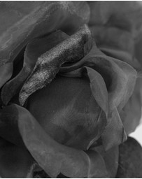 Fillies Collection - Large Flower Fascinator Headband