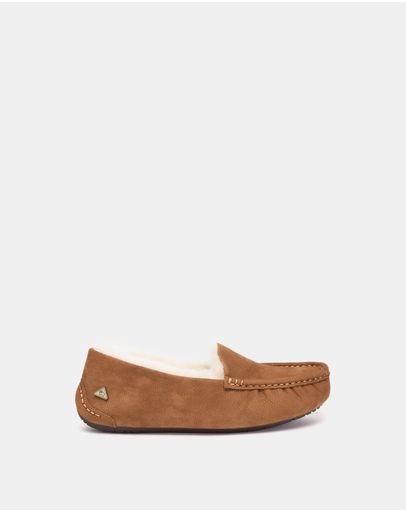 Chestnut