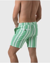 Coast Clothing - North Compass Shorts - Green
