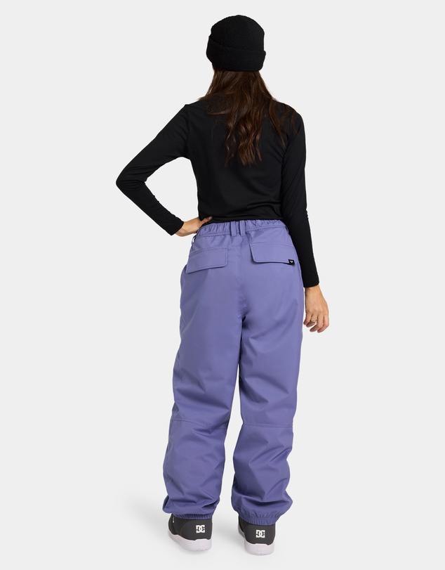 Roxy - Womens Winter Vibe Snow Pants