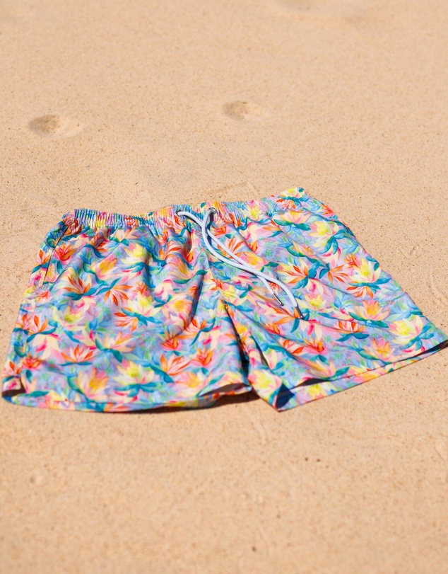 Swim Shady - Sanctuary Swim Shorts