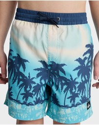 Quiksilver - Boys 8 to 16 Everyday Printed 14