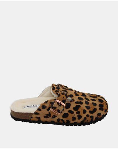 Ocelot