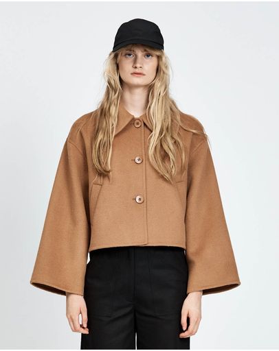 Camel