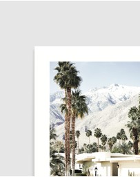 Olive et Oriel - Palm Springs House Art Print