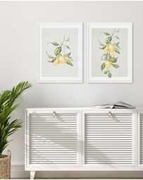 Olive et Oriel - Lemons on Linen II