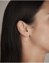 MIMCO - Opalescent Stud Earrings