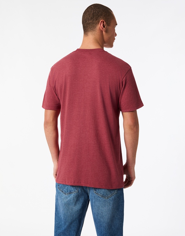 American Apparel - Unisex Short Sleeve CVC T-Shirt