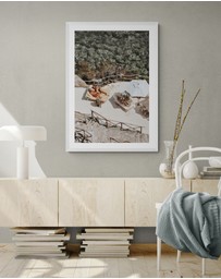 Amichi Co - Lounge Lizards Fine Art Print