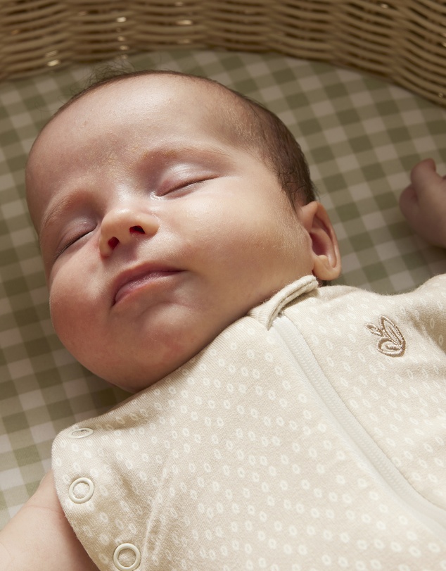 Grow Kindly - Swaddle Sleeping Bag in Oat Little Pod - 1 TOG