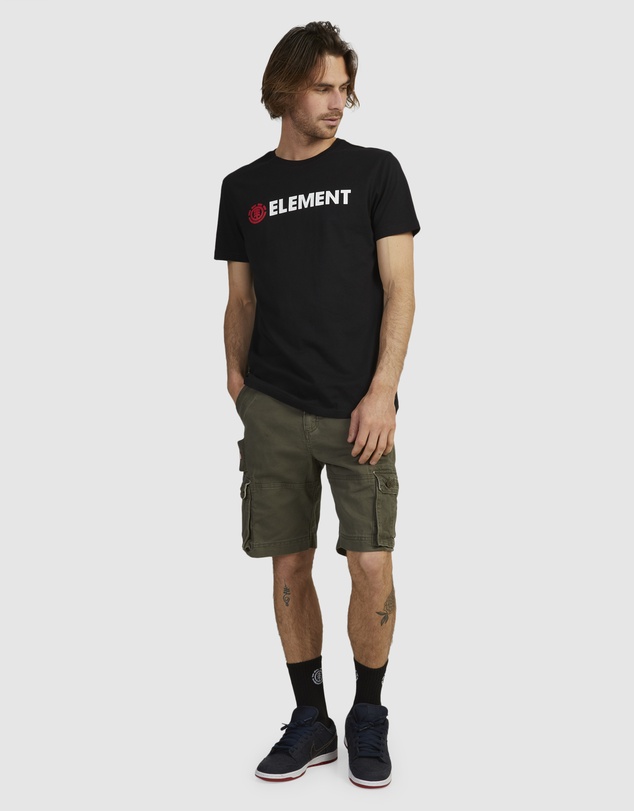Element - Source Cargo Shorts