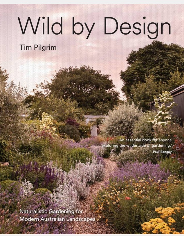 Brumby Sunstate - Wild by Design