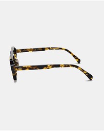 AM Eyewear - Lason Large