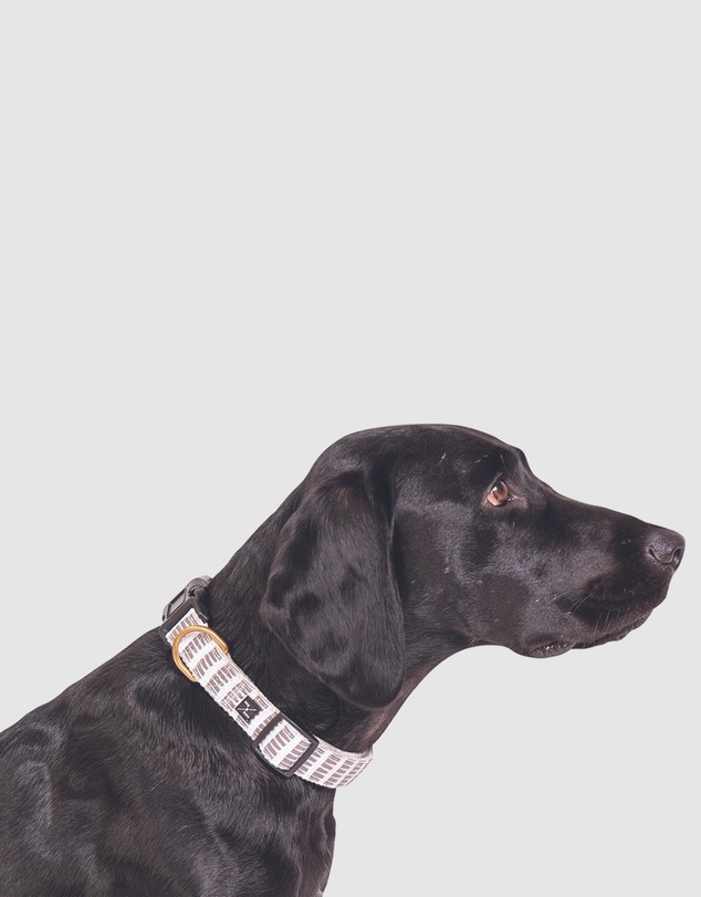 Mog & Bone - Hemp dog collar - Latte Mosaic Print