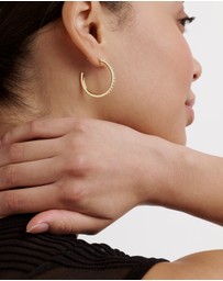 Ted Baker - CLANCI: Medium Crystal Hoop Earrings