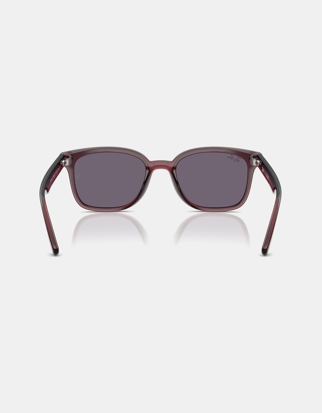 Ray-Ban - RB4461D
