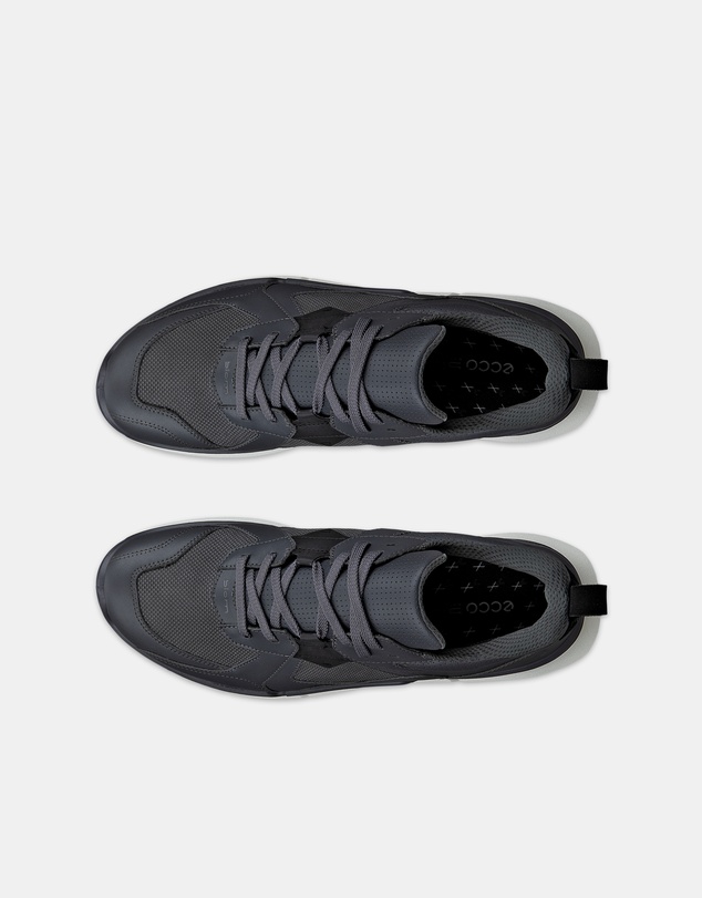 ECCO - ECCO Biom 2.2