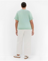 City Chic - Plus size Vintage Volley Tee - sage