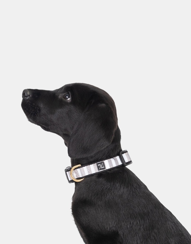 Mog & Bone - Neoprene Dog Bundle- Latte Hampton Stripe