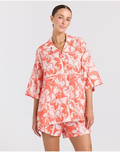 Hibiscus