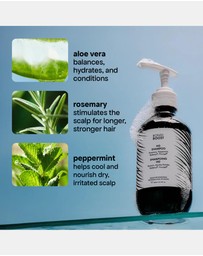 Bondi Boost - HG Shampoo 300ml