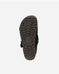 Ozwear Connection Uggs - UGG Aussie Soft Footbed Unisex Slipper