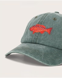 Pallion Point - Coral Trout Fish Lid
