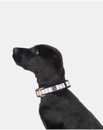 Mog & Bone - Neoprene Dog Bundle- Latte Hampton Stripe