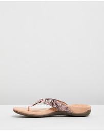 Vionic - Lucia Toe Post Sandal - Camelia Snake