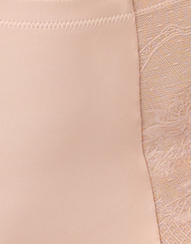 Sans Complexe - Perfect Shape High Waist Lace & Microfiber Brief