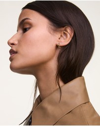 Daniel Wellington - 3-Link Earrings