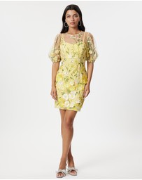 Honey and Beau - Enchanted Garden Dress