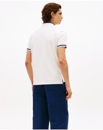 Tommy Hilfiger - Regular Fit Tipped Polo Shirt