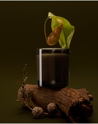 Black Blaze - Bondi Breeze Scented Candle