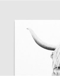 Olive et Oriel - Highland Cow Closeup Art Print
