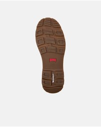 Camper - Brutus Trek