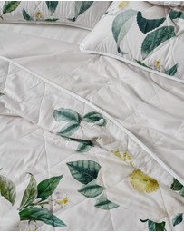 Linen House - Loretta Coverlet