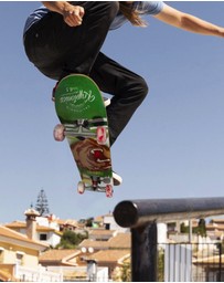 iWorld - Bravo Sports Kryptonics KR31 Star Series Skateboard - Swirled Bear