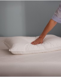 Sheet Society - Cloud Corn Low & Soft Pillow