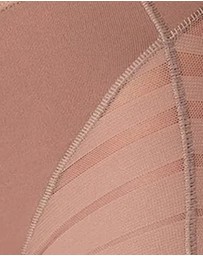 Leonisa - Lace Stripe Undetectable Seamless Shaping Brief