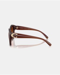 Coach - CAD31
