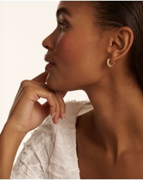 Ted Baker - Persia Pearl Huggie Earrings